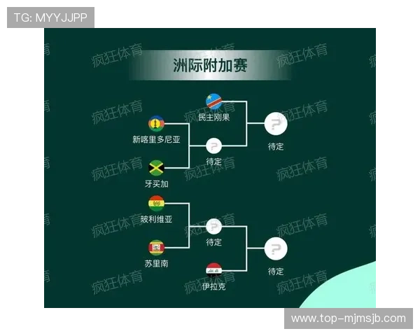 2026年世界杯足球赛举办国家及城市详细规划与赛事安排
